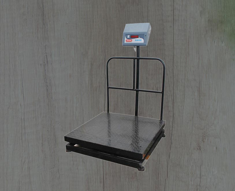 Heavy Duty Platform Scale